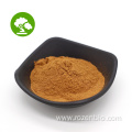 Organic Bamboo Extract Bamboo Extract Powder